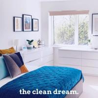 The Clean Dream image 9